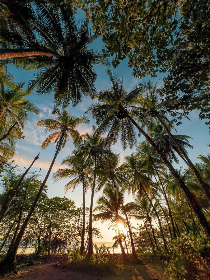 Tropical Beach Uvita Exterior foto
